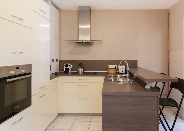 Le Victor Hugo Lejlighed Colmar